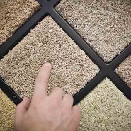 Triexta Carpeting